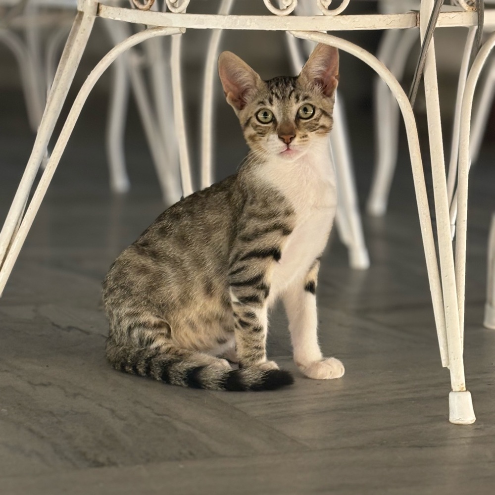 Meet your Posher, Evan